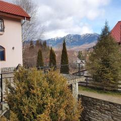 Casa de Vacanta Mountain View