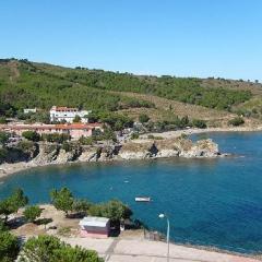 Studio confortable avec loggia et parking à 250m de la plage - FR-1-309-75