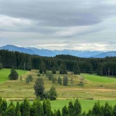 Modernes Apartment mit 180° Bergblick