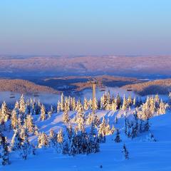 Sjusjøen Hytteutleie