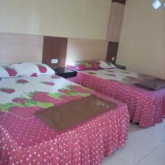 Hotel Borobudur Inn