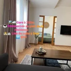 Charmant appartement plein centre 250m de la gare 30mn de Paris