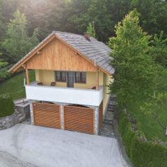 Holiday home in Dragatus - Kranjska Krain 45721