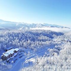 Higashikawa Asahidake Onsen Hotel Bear Monte