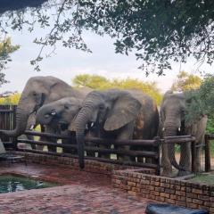 Bateleur Lodge, Mabalingwe