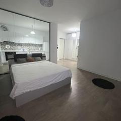 Corporate One Room Pipera