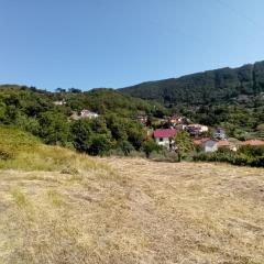 Appartamento il Giardino