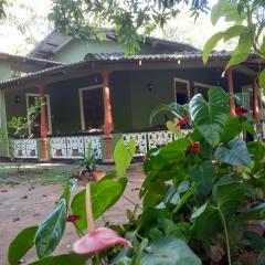 Green Bamboo House