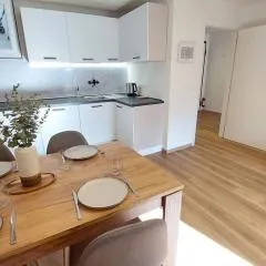 Renovated flat close to the centre