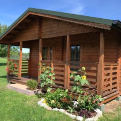 Pod Dziką Jabłonią