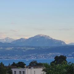 Milladon Logement en face de l'EPFL