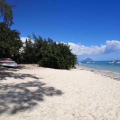 My lîl Place rental unit in a beach facing complex