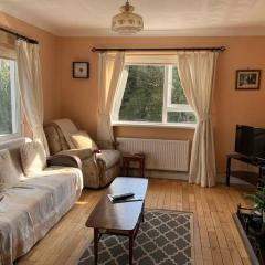 Spacious Cottage in Meenaleck near Gweedore County Donegal
