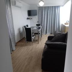 Family Apartment in Signagi