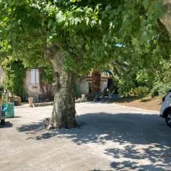 Chambre d'hôtes Maison des 5 Fleurs