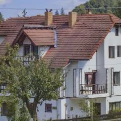 Pensiunea Bianca