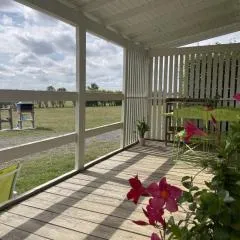Chalet au bord de l'eau, terrasse privée, pêche, baignade, nature et détente, animaux acceptés - FR-1-489-359