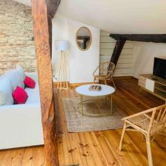 Spacieux appartement en plein coeur de Castres