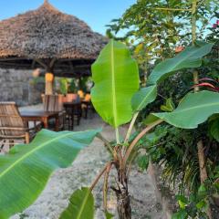 Mbuyuni Lodge Nungwi