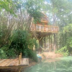 Waterfront Treehouse in a Magical Forest