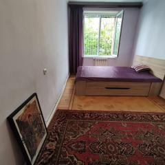 1 Bedroom Cosy Apartment near Botanical Garden