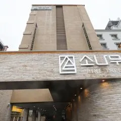 춘천 소나무 호텔