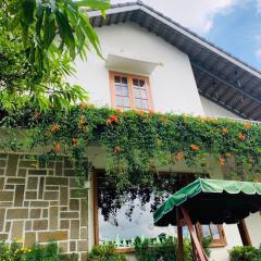 VANDA VIilla Garden trung tâm