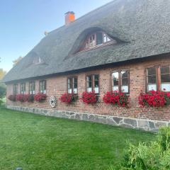 Ferienwohnung Familie Manthei