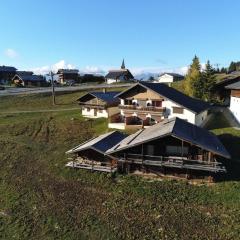 Chalet spacieux Les Saisies, 6 chambres, sauna, 11 pers. - FR-1-293-54