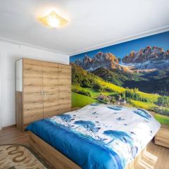 The Smart Traveller's Apartment Brasov