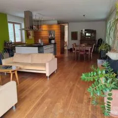 Loft mit Kamin und Whirlpool