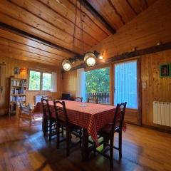 Chalet Les Carroz d'Arâches, 5 pièces, 8 personnes - FR-1-572-286