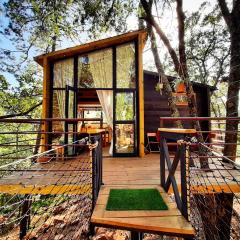 Patagonia, Pinochueco