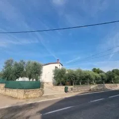 Apartments Solei-free parking