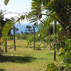 Tsitsikamma on Sea Self-catering Cottages