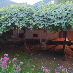 Guest House Nene