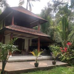 Nice house, quiet place overlooking rice fields