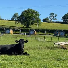 Great House Farm Luxury Pods and Self Catering