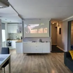 The entire comfortable apartment