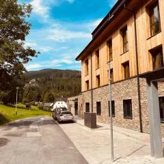 Stylový apartmán Ski&Bike, Janské Lázně