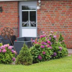 Balzwiekje Auszeit auf Pferdehof in Ostfriesland