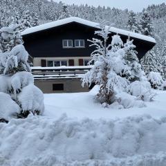 CHALET DES HAUTS SAPINS LA BRESSE