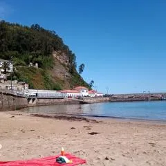 Tazones 79 VUT6993AS