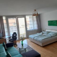 Serviced Apartment with Sunny Balcony