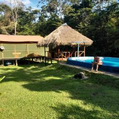 Jungle Explorer Lodge