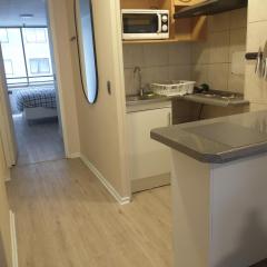 Departamento Barrio Bellas Artes