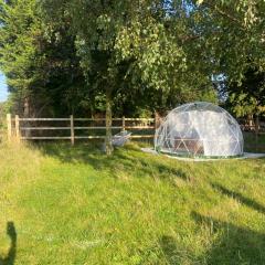 Country Bumpkins Luxury Igloo