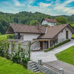 Vineyard Cottage Radovlja With Sauna - Happy Rentals