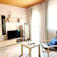 3 bedrooms appartement with terrace and wifi at Lorsch