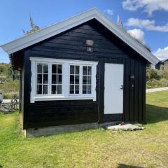 Osetunet, small and charming cabin at Ustaoset